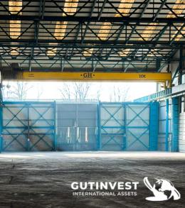 2  -  Double girder overhead crane - 10t