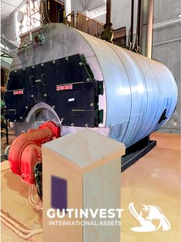 1  -  Steam boiler - 6.000Kg/h
