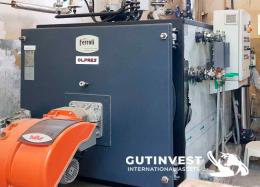 1  -  Steam boiler - 800kg/h for gas