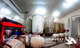 22  -  (X5) Fiberglass tanks