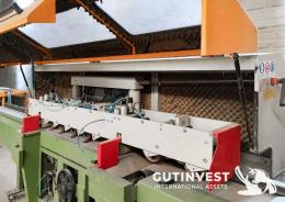 1  -  Wood optimizer sawing machine