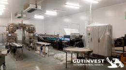 1  -  Complete line for blueberry handling and packaging 