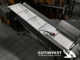 3  -  Cinta de salida - banda transportadora del bombo nitrificad