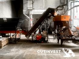 1  -  Packaging line for fruit and vegetable products