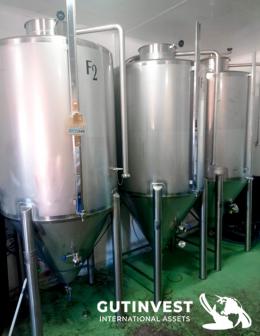 53  -  (x3) Beer fermenter tanks with cip - 1.000lts