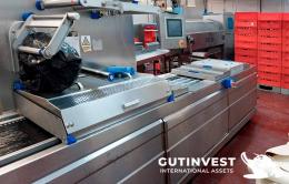 1  -  Termoformadora automática