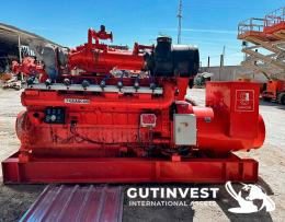 1  -  Grupo electrógeno de gas natural - 875 kVA