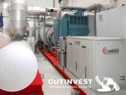 1  -  Turbine for electricity production with silicone thermal oi