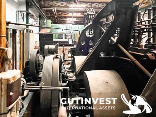 Veneer drying and cutting line