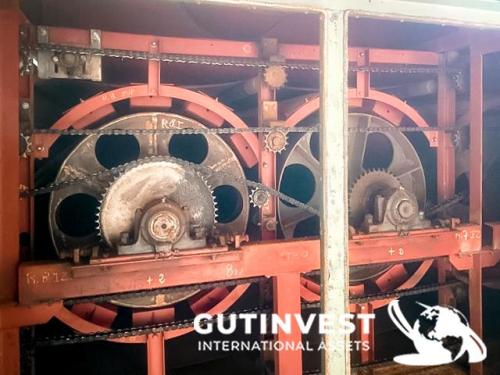 Veneer drying and cutting line