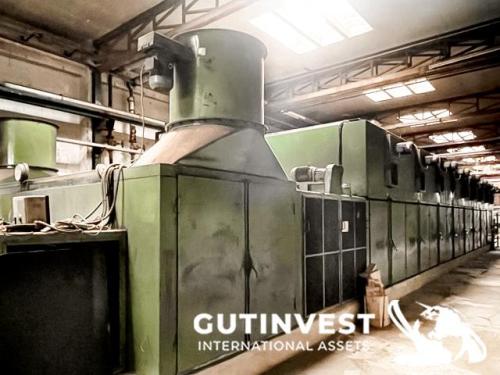 Veneer drying and cutting line