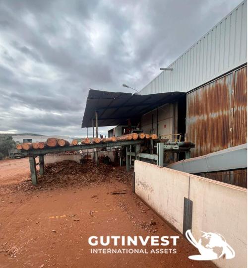 Sawmill for manufacturing wooden pallet panels