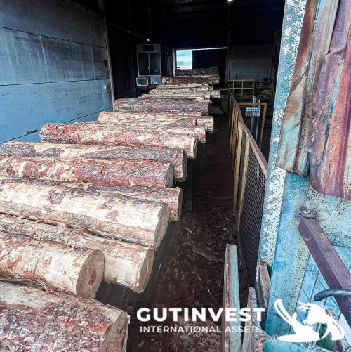 Sawmill for manufacturing wooden pallet panels