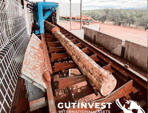 Sawmill for manufacturing wooden pallet panels