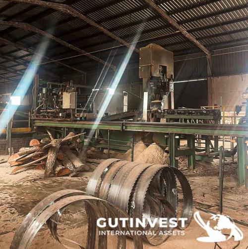 Sawmill for manufacturing wooden pallet panels