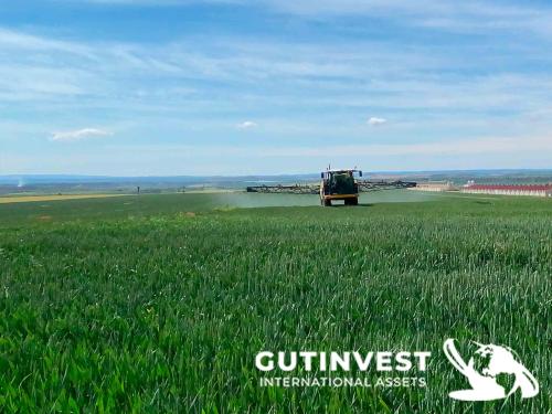 Pulverizador autopropulsado diésel