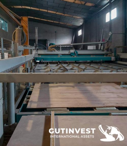 Wood Panel Sawing machine