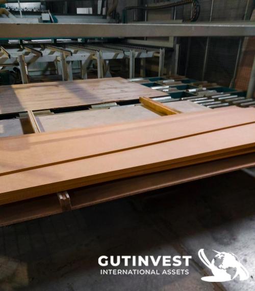 Wood Panel Sawing machine