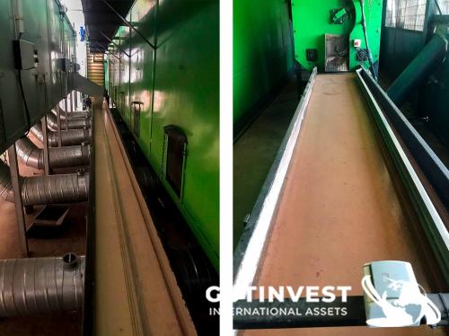 Walnut processing line -1.200 to 2.000 kg/hour