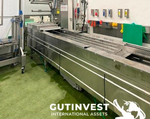 Máquina termoformadora