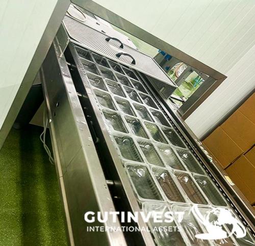 Máquina termoformadora