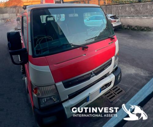 Camión con cesta - plataforma aérea