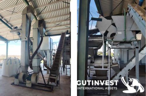 Línea de procesado de pistacho - 1500Kg/hora