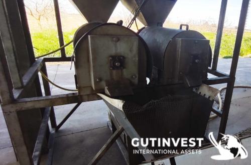 Línea de procesado de pistacho - 1500Kg/hora