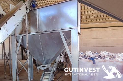 Línea de procesado de pistacho - 1500Kg/hora