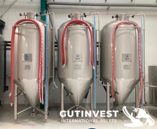 Fábrica completa de elaboración de cerveza artesanal