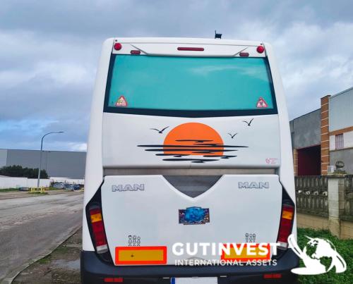 Camper van - Bus