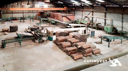 Complete factory - woodworking sector - 21.000m2