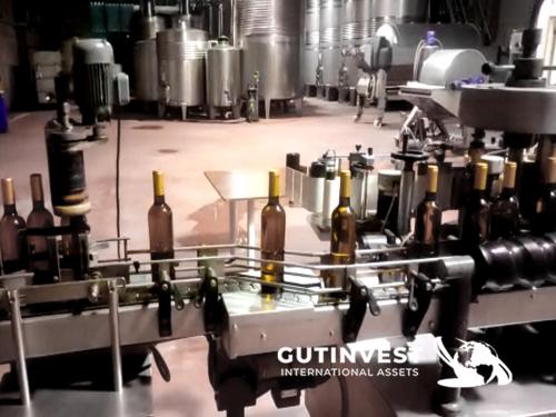 Complete wine bottling line of 1800 bottles/hour