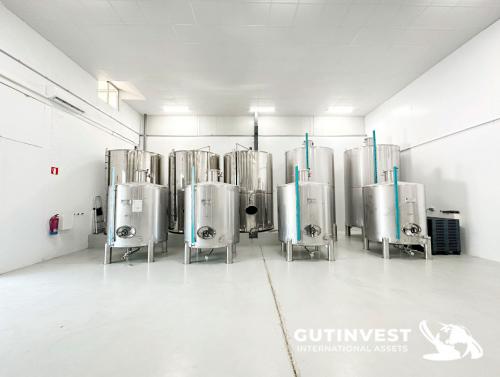 Complete lot of machinery for olive oil packaging