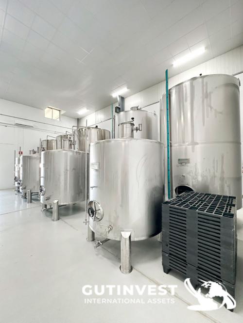 Complete lot of machinery for olive oil packaging