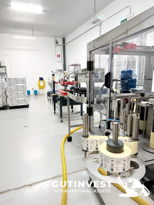 Complete lot of machinery for olive oil packaging