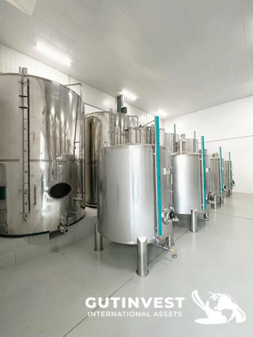 Complete lot of machinery for olive oil packaging