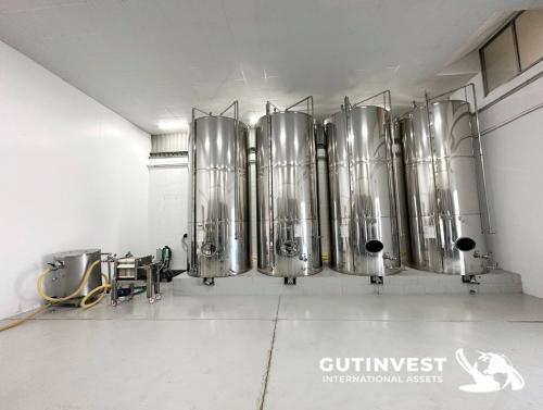 Complete lot of machinery for olive oil packaging