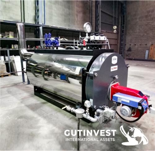 Steam boiler with burner