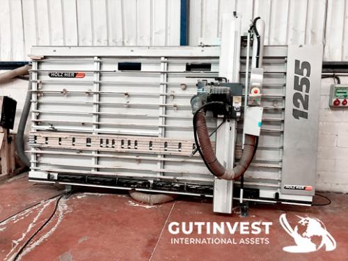Vertical saw for wood panels