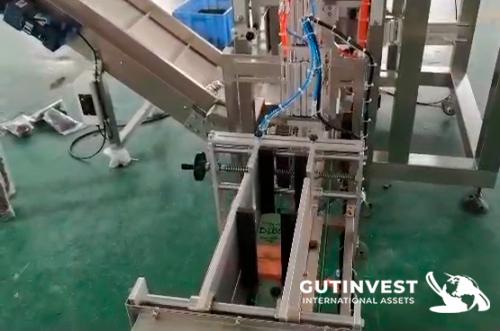Bag Filling And Sealing Machine