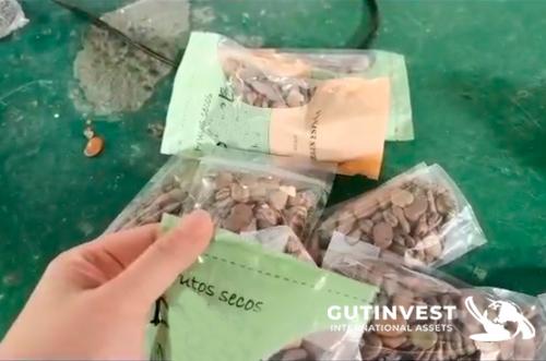 Bag Filling And Sealing Machine