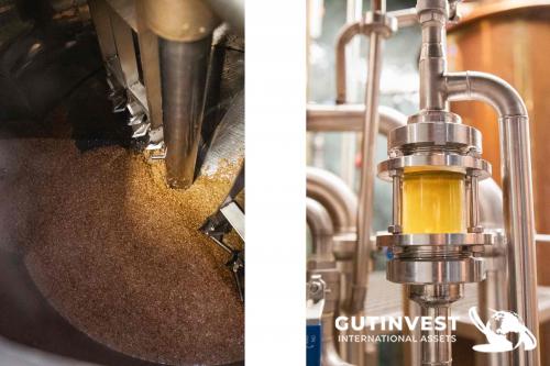 Beer brewing machinery