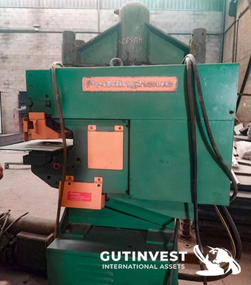 Punching and shearing machine