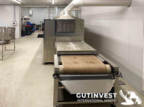 Horno de secado productos alimenticios 
