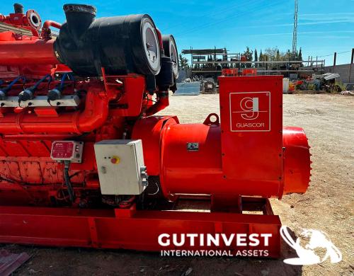 Grupo electrógeno de gas natural - 875 kVA