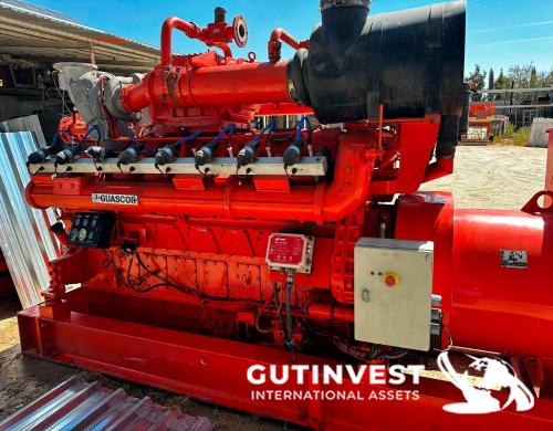 Grupo electrógeno de gas natural - 875 kVA