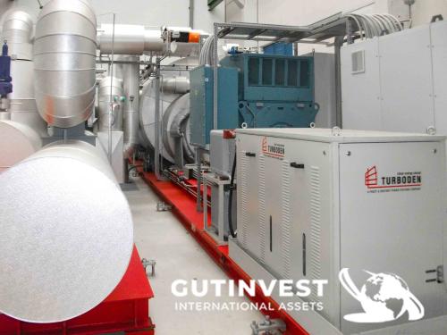 Turbine for electricity production with silicone thermal oi
