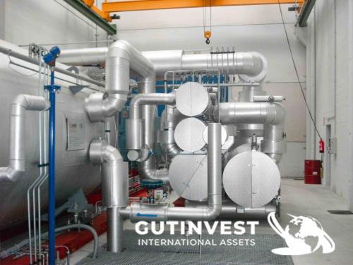 Turbine for electricity production with silicone thermal oi