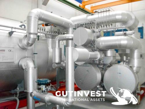 Turbine for electricity production with silicone thermal oi